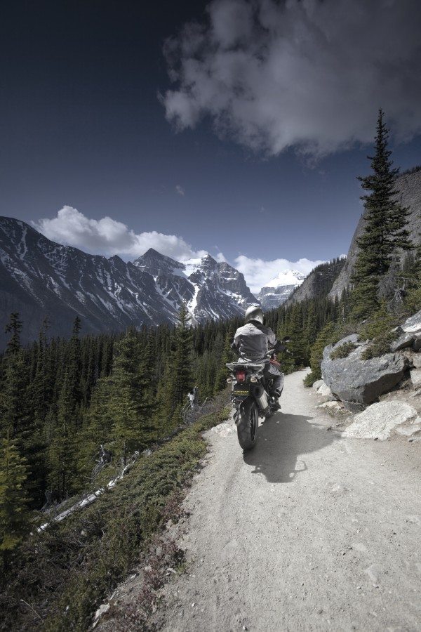 Trail bikes are enjoying greater popularity for both their off-road capabilities and the higher ride position, which gives on-road riders greater visibility 
