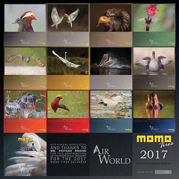 momo-birds