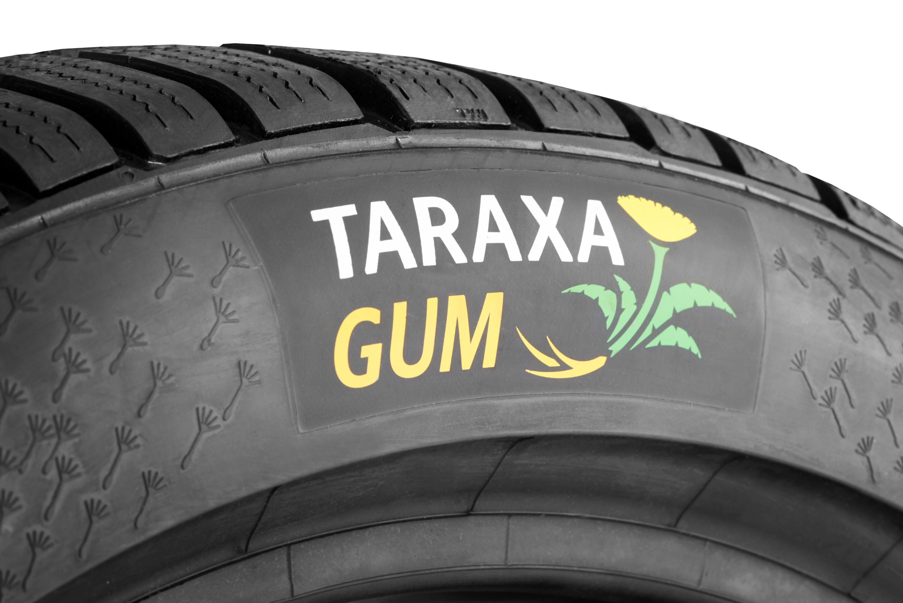 Continental producing first Taraxagum-based test tyres