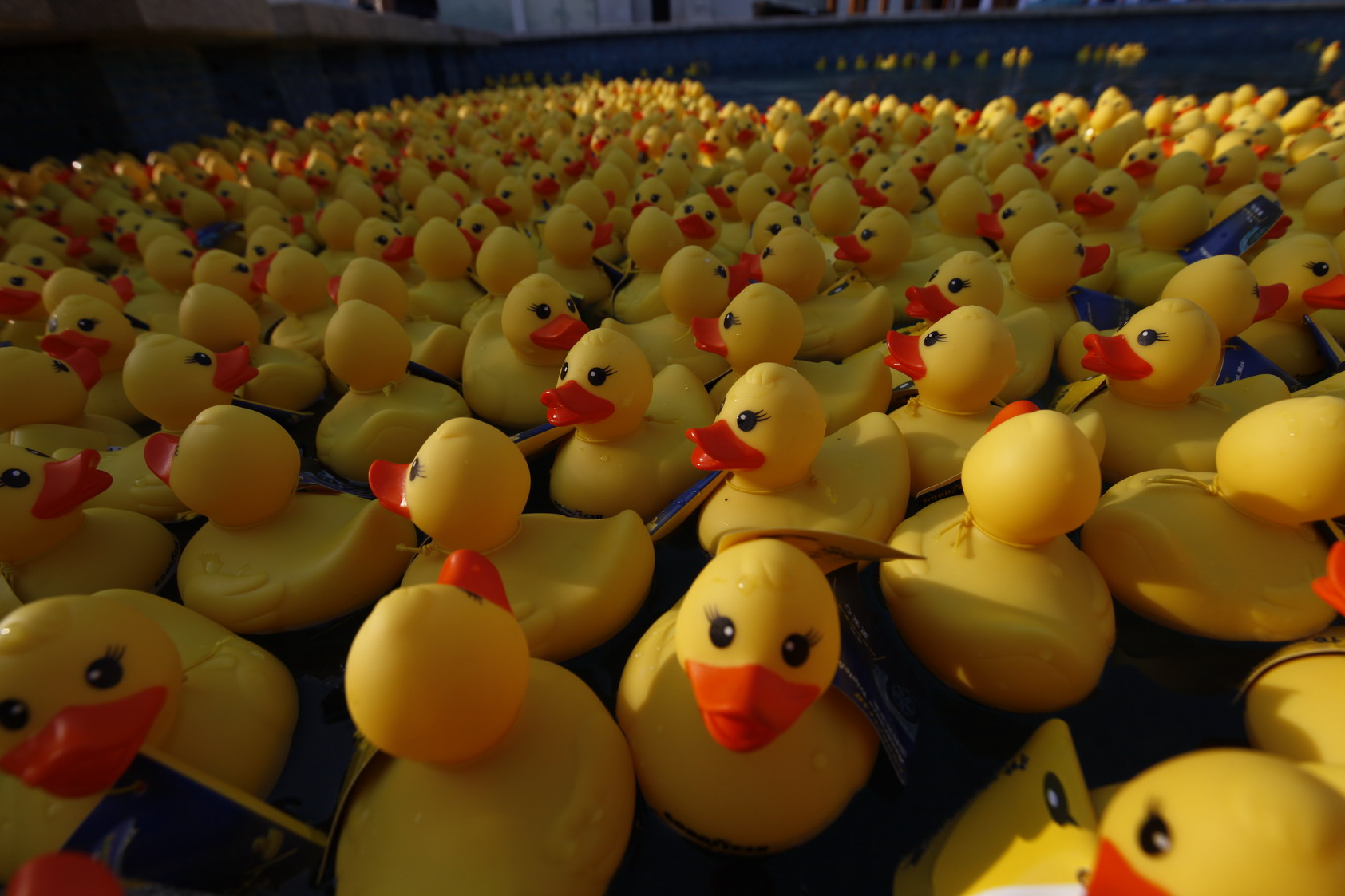 Rubber ducks bring Goodyear a SABRE award